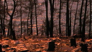 Still from Episode 3