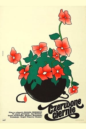 Poster Red Thorns (1977)