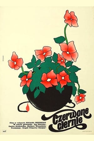 Poster Czerwone ciernie 1977
