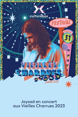 Joysad en concert aux Vieilles Charrues 2023