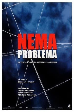 Poster Nema problema 2004