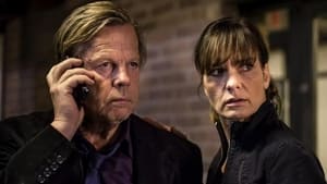 Wallander The Loss