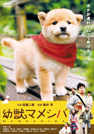 Image 劇場版 幼獣マメシバ