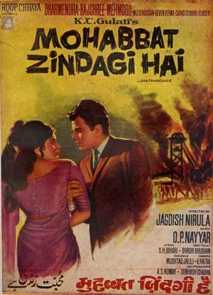 Poster Mohabbat Zindagi Hai (1966)