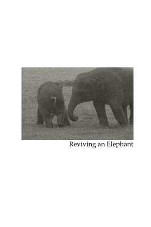 Reviving an Elephant