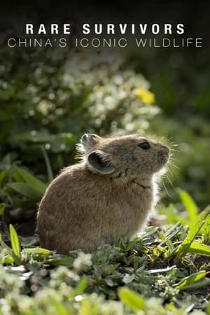 Image Rare Survivors China's Iconic Wildlife