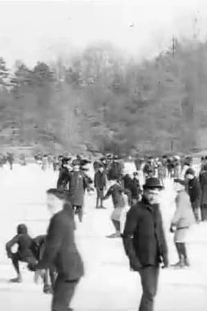 Skating in Central Park poster