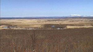 Wild Hokkaido! Kushiro Wetland