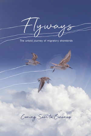 Flyways: the untold journey of migratory shorebirds (2026)