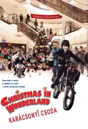 Poster Karácsonyi csoda 2007