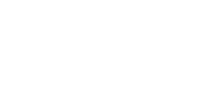 Espías con disfraz — Logos 2