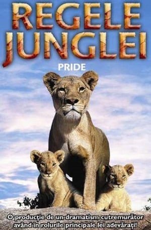 Poster Pride 2004