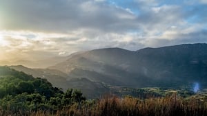 Tasmanian Ghost Town Project: A Diary of Lost Memories