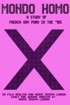 Mondo Homo: Inquiry Into 70's Gay French Porn poster