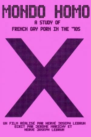 Image Mondo Homo: Inquiry Into 70's Gay French Porn