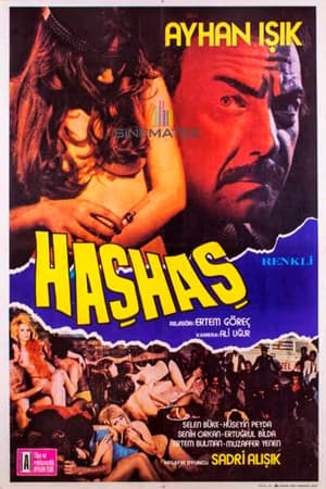 Poster Haşhaş (1975)