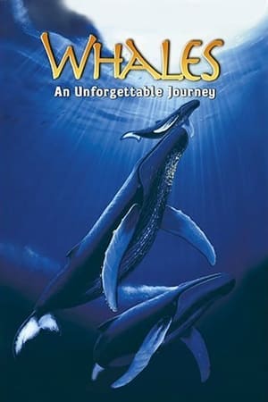 Poster Whales: An Unforgettable Journey 1997