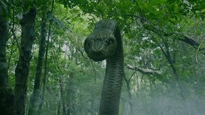 Deep Sea Python ( 2023 )