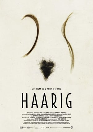 Poster Haarig 2017