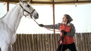 Astrid & Raphaëlle (2024) Season 5X7 Watch Online Free | ඔන්ලයින් බලන්න