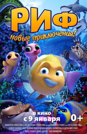 Go Fish 8