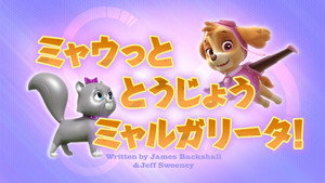 ミャウっととうじょう ミャルガリータ！