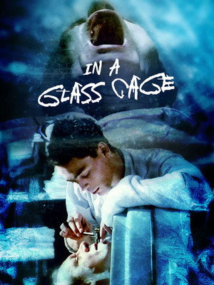 In a Glass Cage 17
