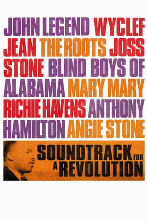 Poster Soundtrack for a Revolution (2009)