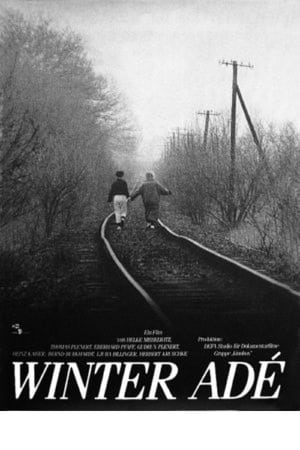 Winter adé poster