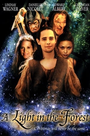 Poster A Light in the Forest (2003)