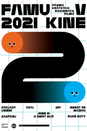 Poster FAMU v kině 02 2021