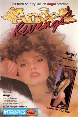Poster Angel's Revenge (1986)