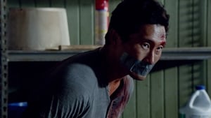 Hawaii Five-0 Season 4 Episode 11