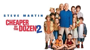 Cheaper by the Dozen 2 (2005)