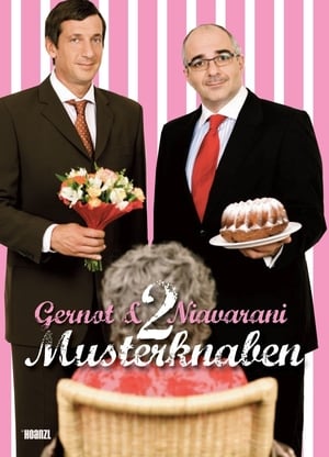 Poster 2 Musterknaben (2011)