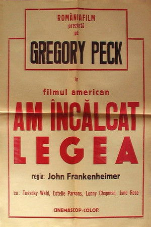 Image Am încălcat legea