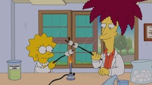 Die Simpsons: 25×13