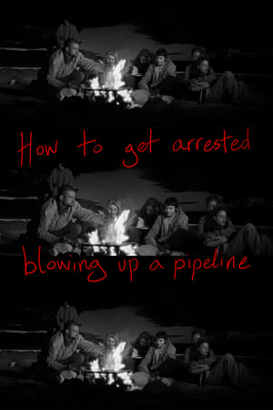 How to get arrested blowing up a pipeline stream