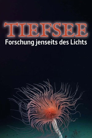 Tiefsee - Forschung jenseits des Lichts