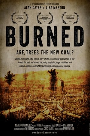 Image Burned: Are Trees the New Coal?