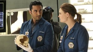 Bones Temporada 11 Capitulo 18