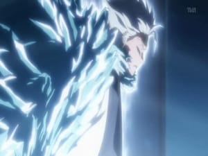 ¡Hitsugaya, el Funeral Celeste de las Cien Flores Heladas del suicidio!