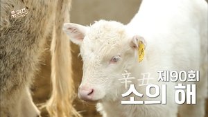 Épisode 90