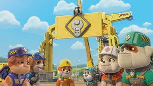 El equipo construye un puente