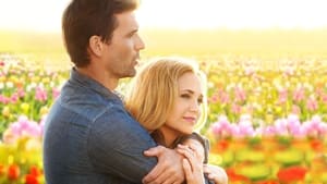 I tulipani dell’amore (2016)