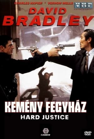 Poster Kemény fegyház 1995