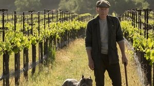 Star Trek: Picard: 1×1