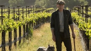 Star Trek: Picard: 1×1 CDA Online