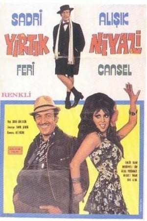 Yırtık Niyazi