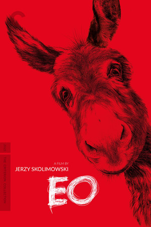 EO 38
